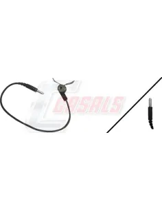 CASALS50039