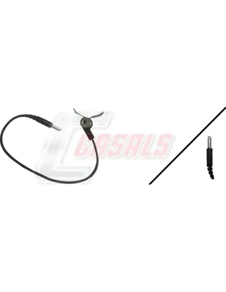 CASALS50039