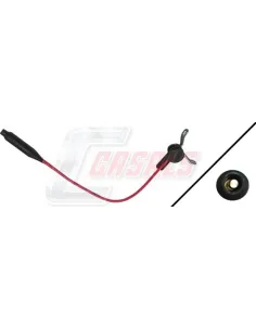 CASALS50040