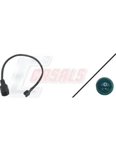 CASALS50062