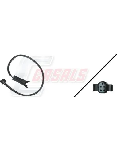 CASALS50066