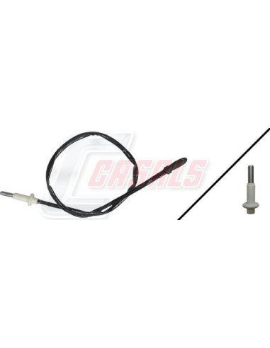 CASALS50082