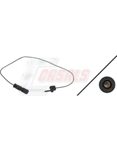 CASALS50089