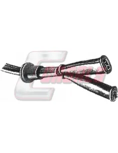 CASALS50090