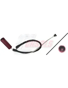 CASALS50131