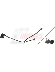 CASALS50156
