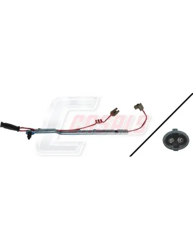 CASALS50166
