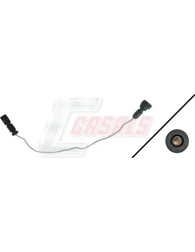 CASALS50173