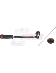 CASALS50181
