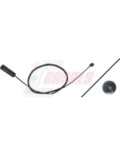 CASALS50235
