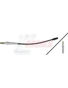 CASALS50240