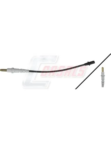 CASALS50240