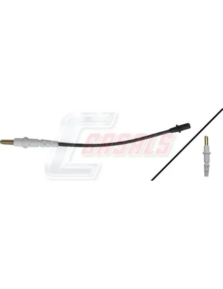 CASALS50240