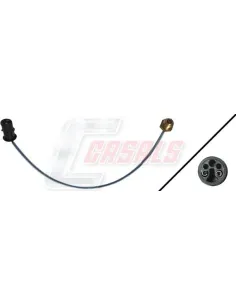 CASALS50256