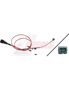 CASALS50260
