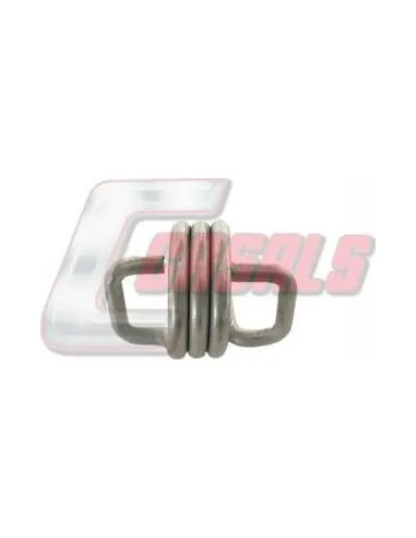 CASALS5029