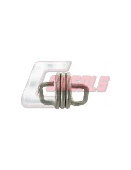 CASALS5029