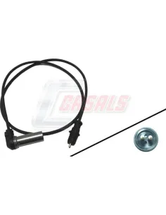 CASALS50323