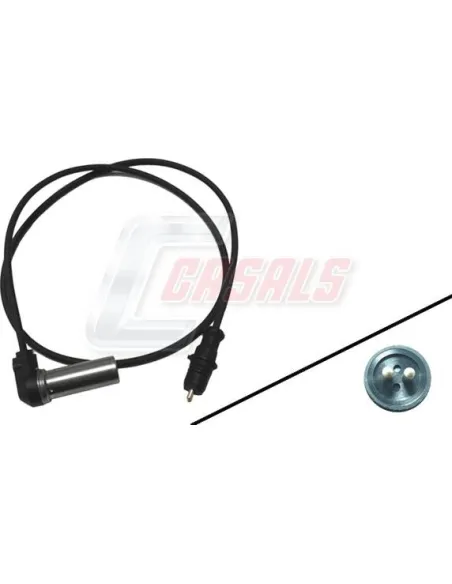CASALS50323