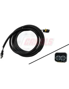 CASALS50331