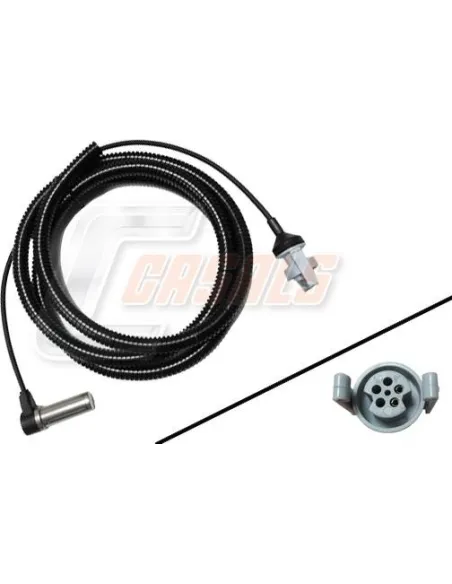 CASALS50420
