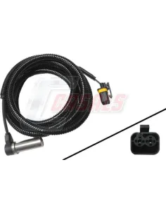 CASALS50435