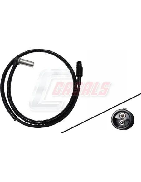 CASALS50466