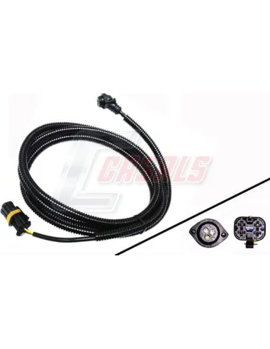 CASALS50515