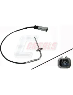 CASALS50520