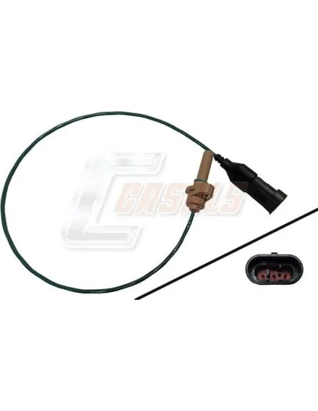 CASALS50537