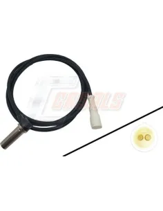 CASALS50541