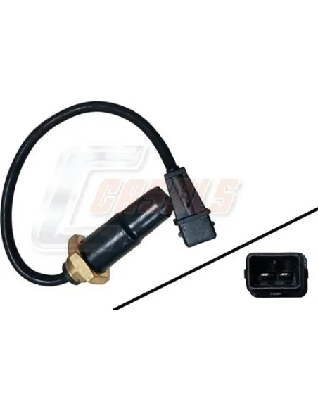 CASALS50546