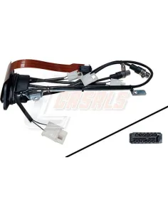 CASALS50594