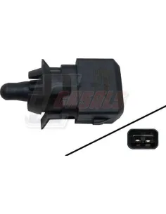 CASALS50600
