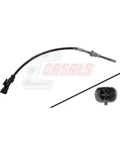 CASALS50601
