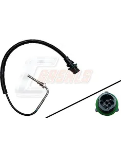 CASALS50604