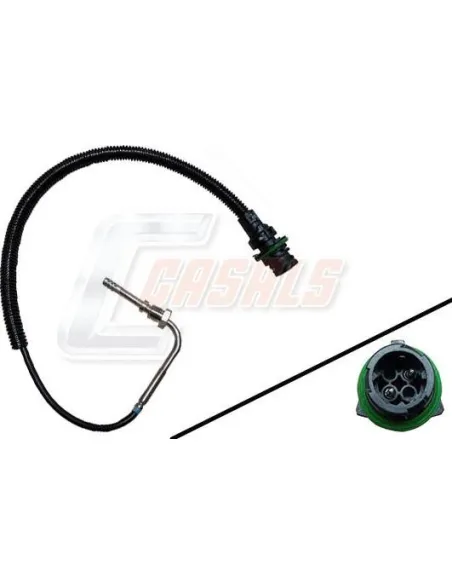 CASALS50604