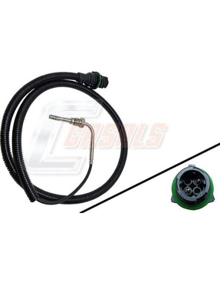 CASALS50607