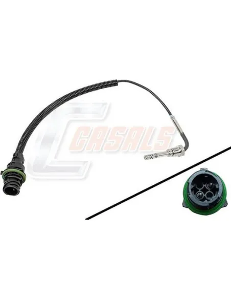 CASALS50610