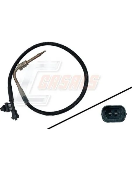 CASALS50616