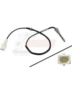 CASALS50617
