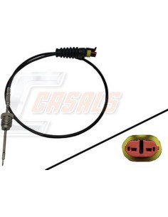 CASALS50622