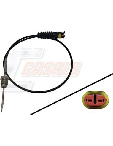 CASALS50622