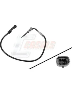 CASALS50625