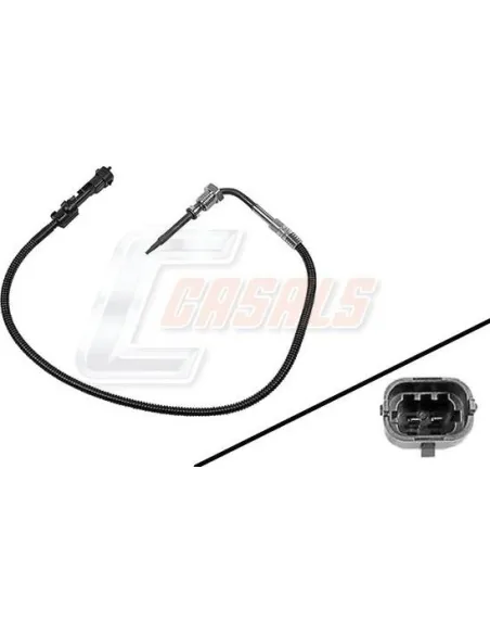 CASALS50625