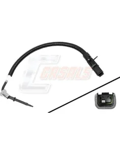 CASALS50629