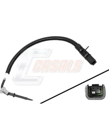 CASALS50630