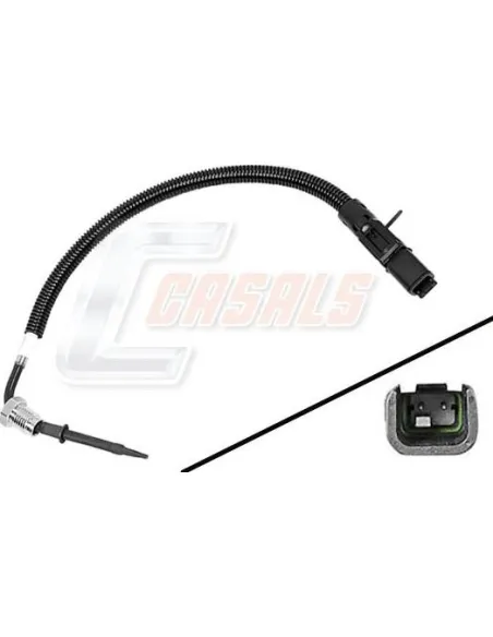 CASALS50630