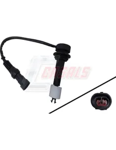 CASALS50639