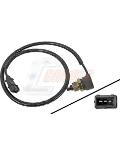 CASALS50648